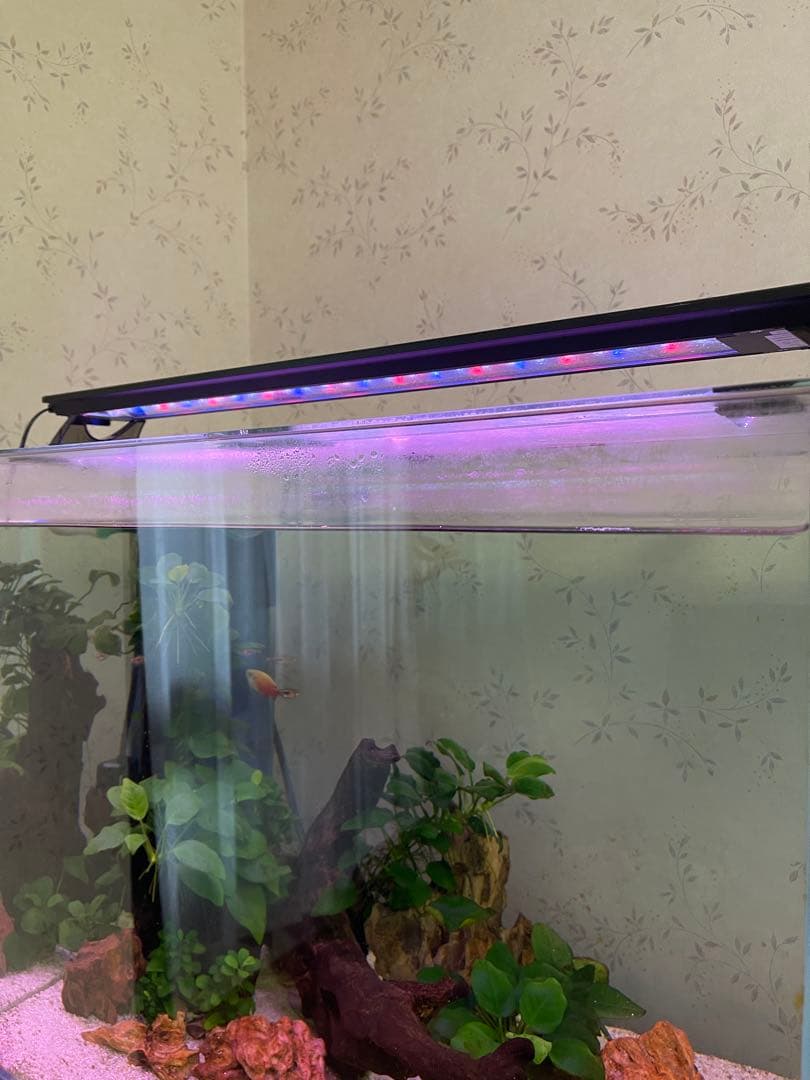 ムービースターGEX aquarista 水槽用ライト