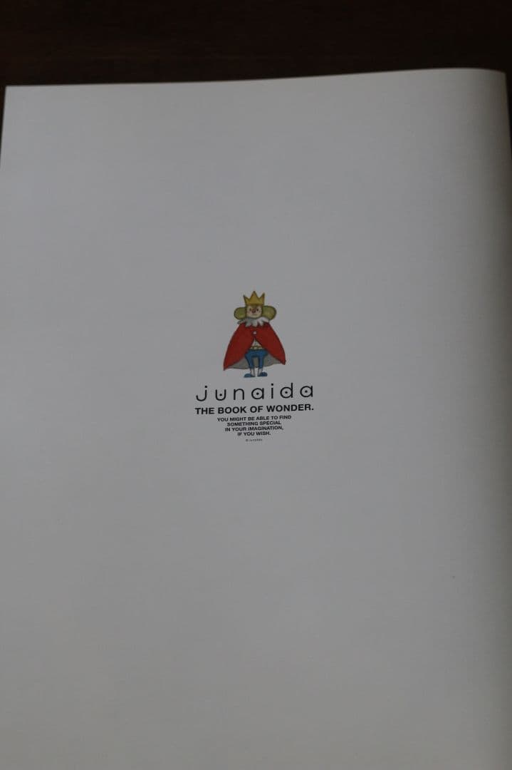 【美品】junaida THE BOOK OF WONDER 2011ジュナイダ