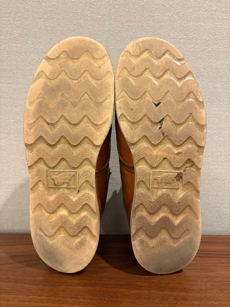 REDWING アイリッシュセッター