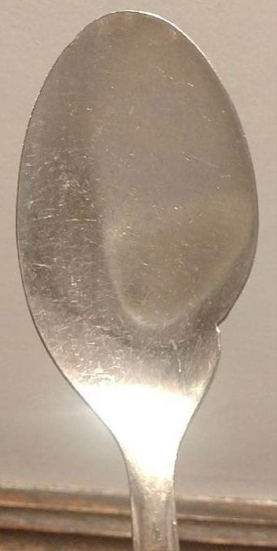 NORITAKEステンレス フィッシュソーススプーン 29本セット