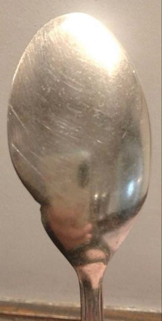 NORITAKEステンレス フィッシュソーススプーン 29本セット