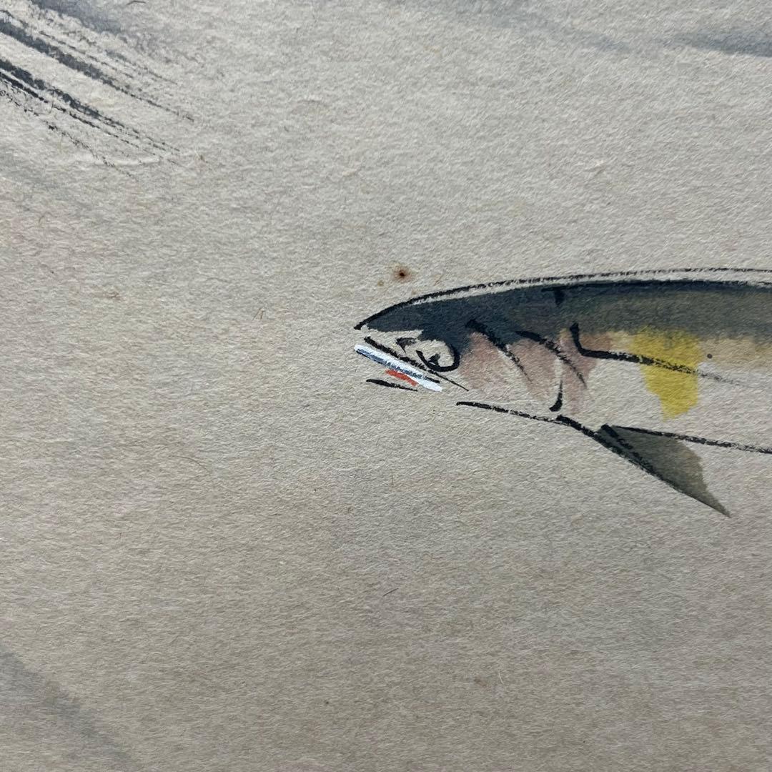 4134 須賀玄道 「清流鮎」 共箱 肉筆 紙本 書 掛軸 臨済宗 大徳寺 禅語