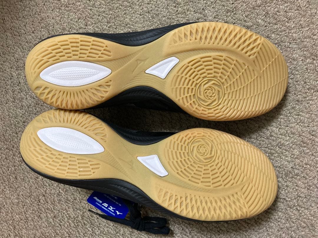 湘*人様 未使用モレリアNEOサラβ JAPAN 25.5 INフットサルsal