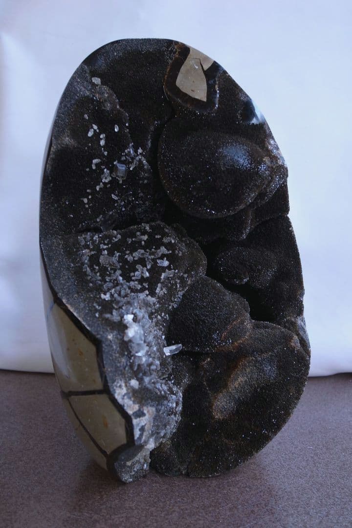 原石タートルジャスパー