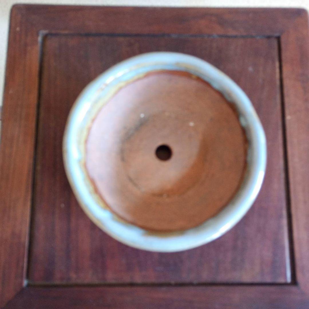 盆栽鉢 東福寺盆栽鉢 約12.3✕4.5