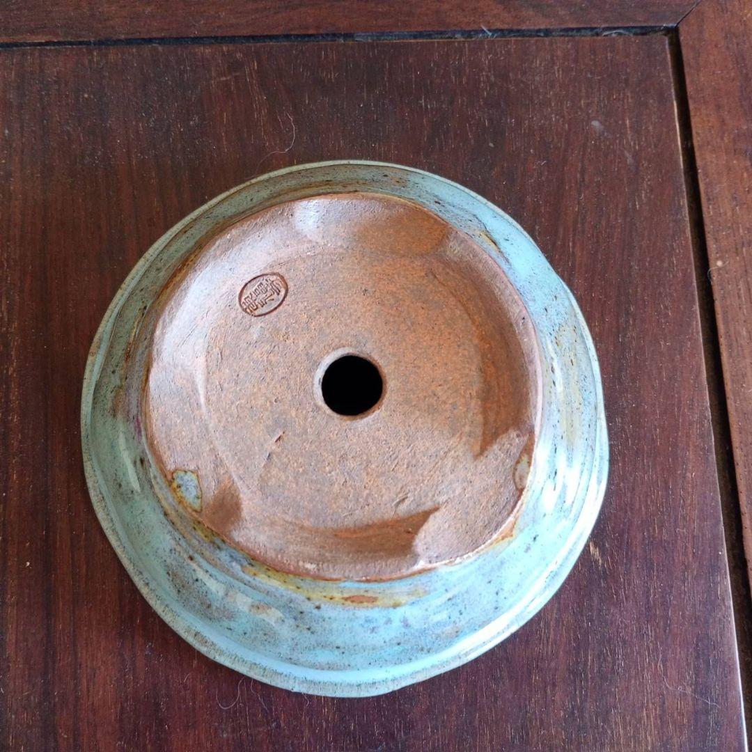 盆栽鉢 東福寺盆栽鉢 約12.3✕4.5