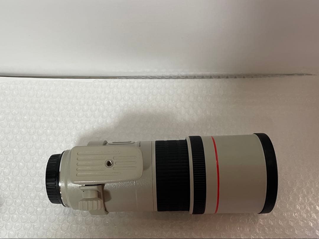Canon EF 300mm F4 L USM キヤノン望遠レンズ EFマウント