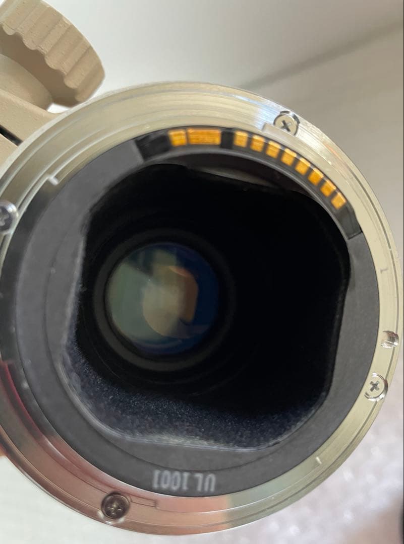 Canon EF 300mm F4 L USM キヤノン望遠レンズ EFマウント