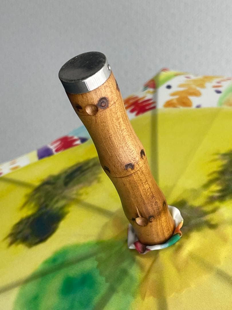 美品 ヴィヴィアンウエストウッド 雨傘 水彩画柄 長傘 バンブーハンドル