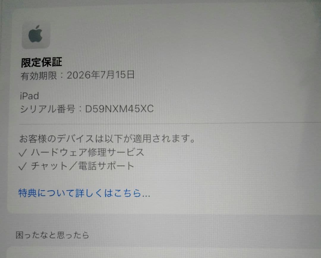 Apple アップル iPad（A16）Wi-Fiモデル 128GB ブルー