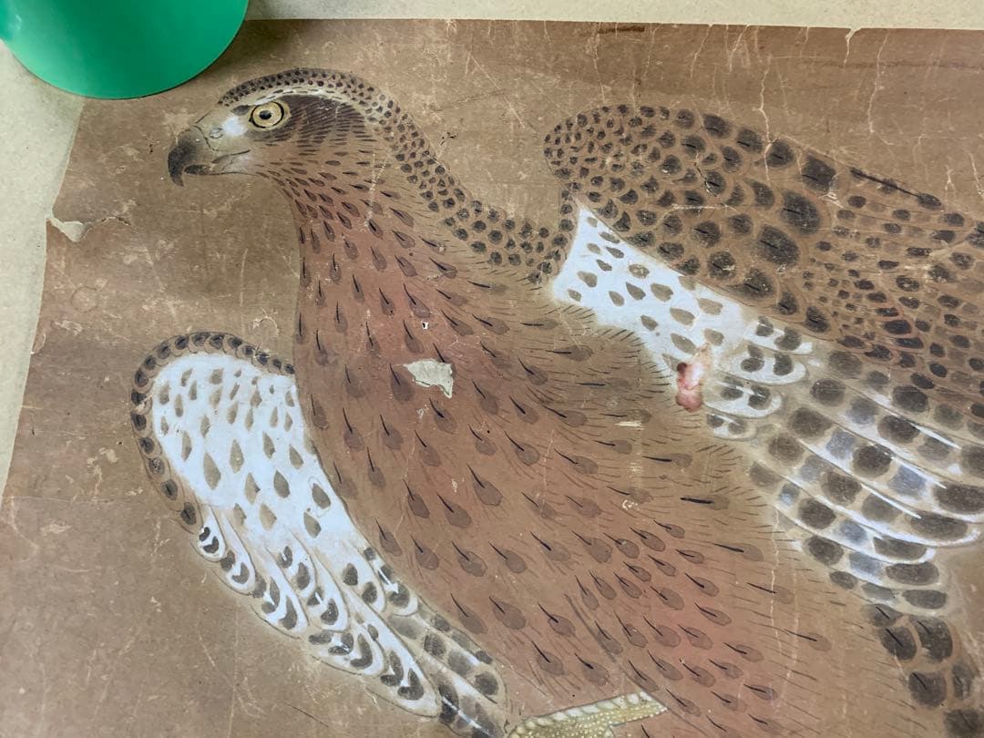 『1880』鷹図 マクリ三枚セット 作者不明