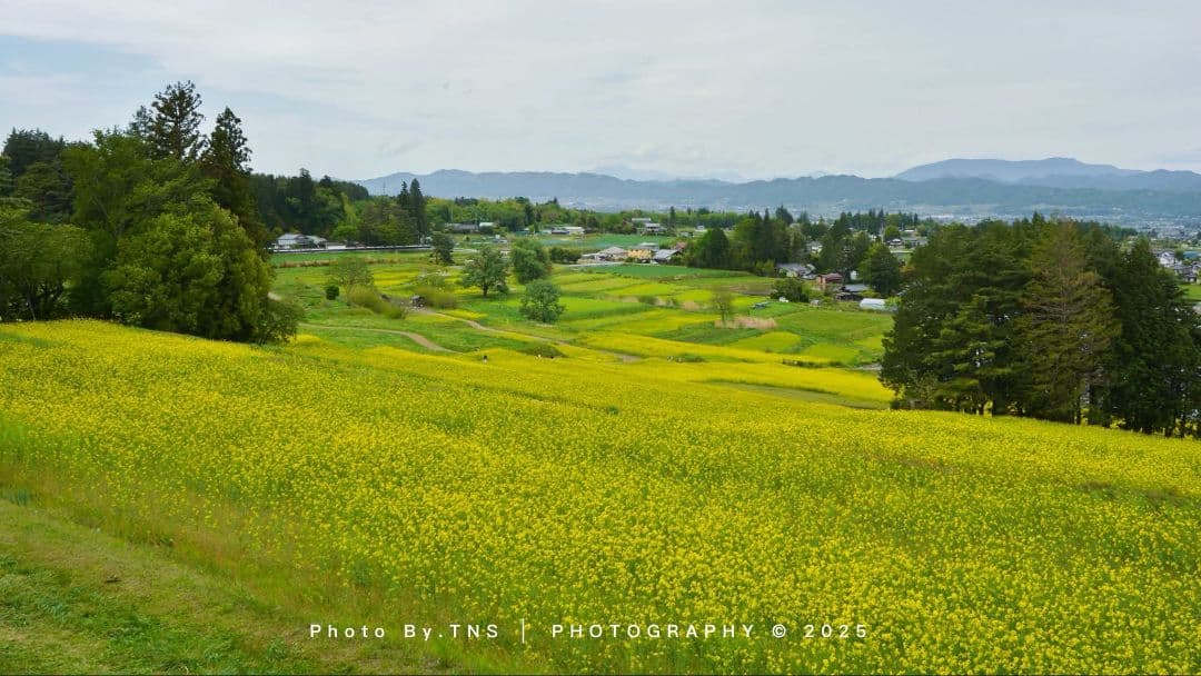 レンズ(ズーム) Nikon AF-S NIKKOR 18-200mm 1:3.5-5.6G