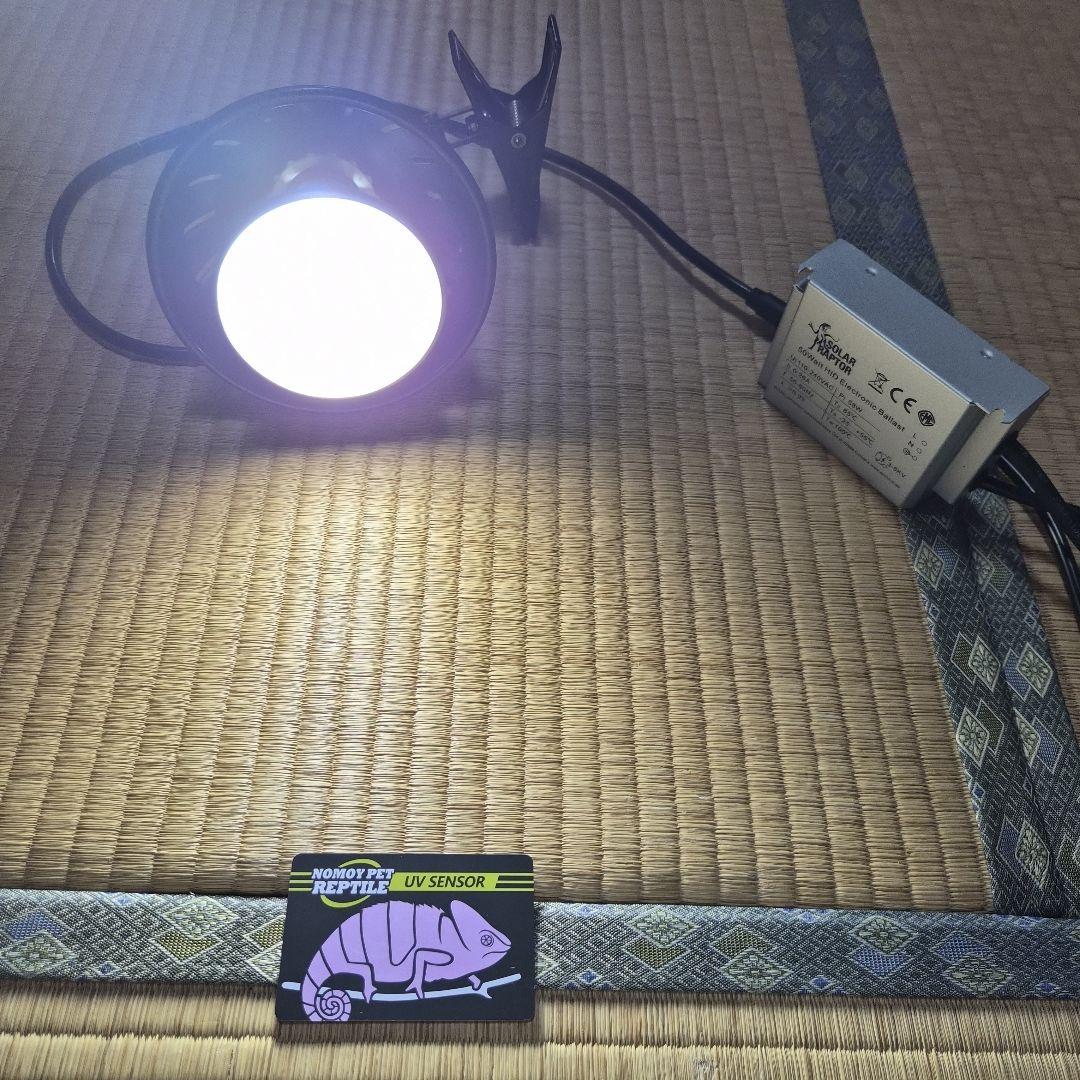 ゼンスイ ソーラーラプター HIDランプ 50W