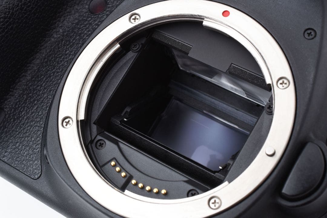 美品　一眼レフカメラCanon EOS 6D Mark II ダブルレンズセット