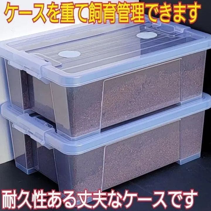 【3セット】10リットルケース入☆プレミアム発酵カブトムシマット☆幼虫入れるだけ