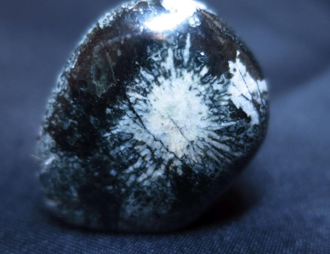 ミニ菊花石　根尾菊花石　孔雀石　糸菊　水石　鑑賞石　紋様石　盆栽