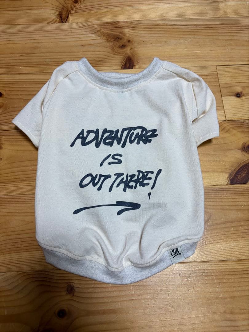 ADVENTURE IS OUT THERE! ×CHEERBEE(R)