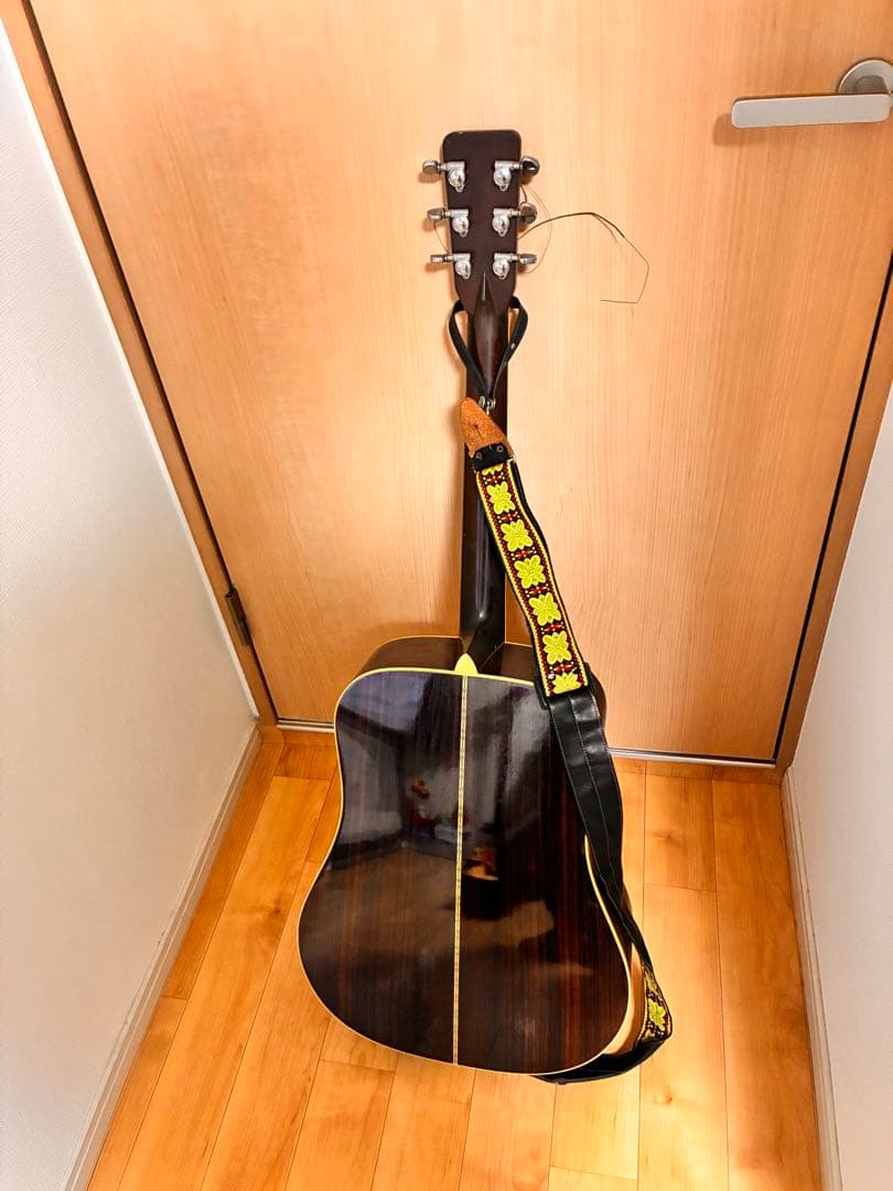 ギター Cat's Eyes CE-600