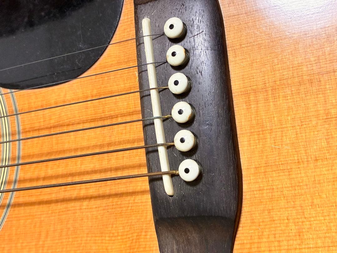 ギター Cat's Eyes CE-600
