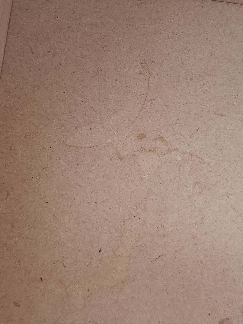 北欧暮らしの道具店 「道具も気持ちも整うメイクボックス」　①