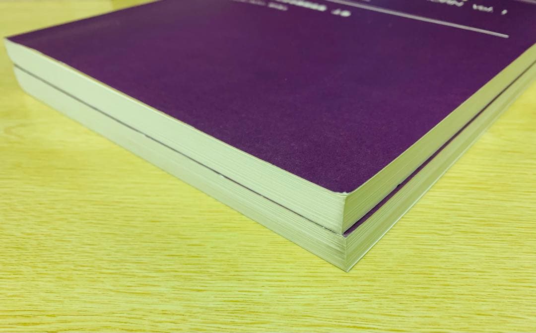 12日夜まで値下げ　絶版品　上下巻　GODOWSKY/Chopin Etudes