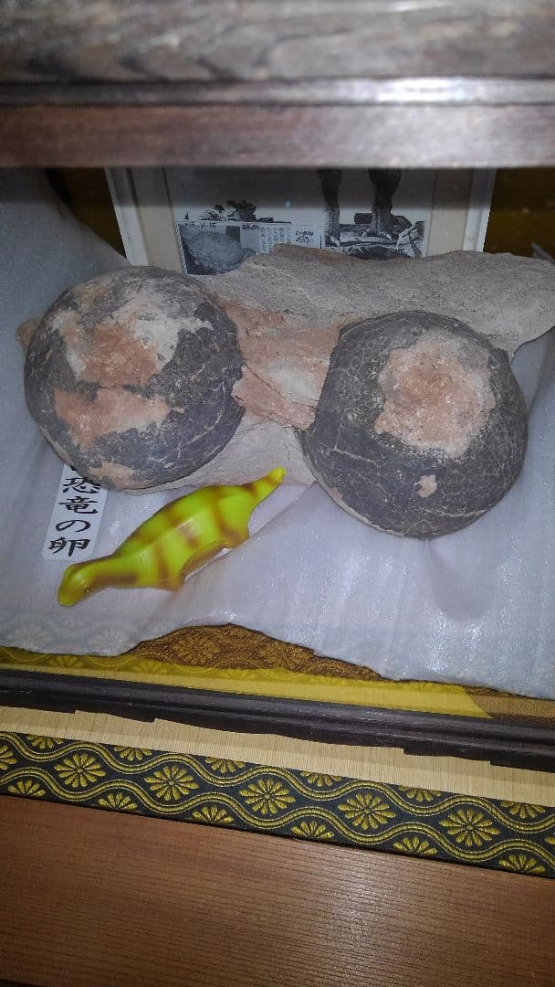 恐竜の卵　1億年前の天然化石