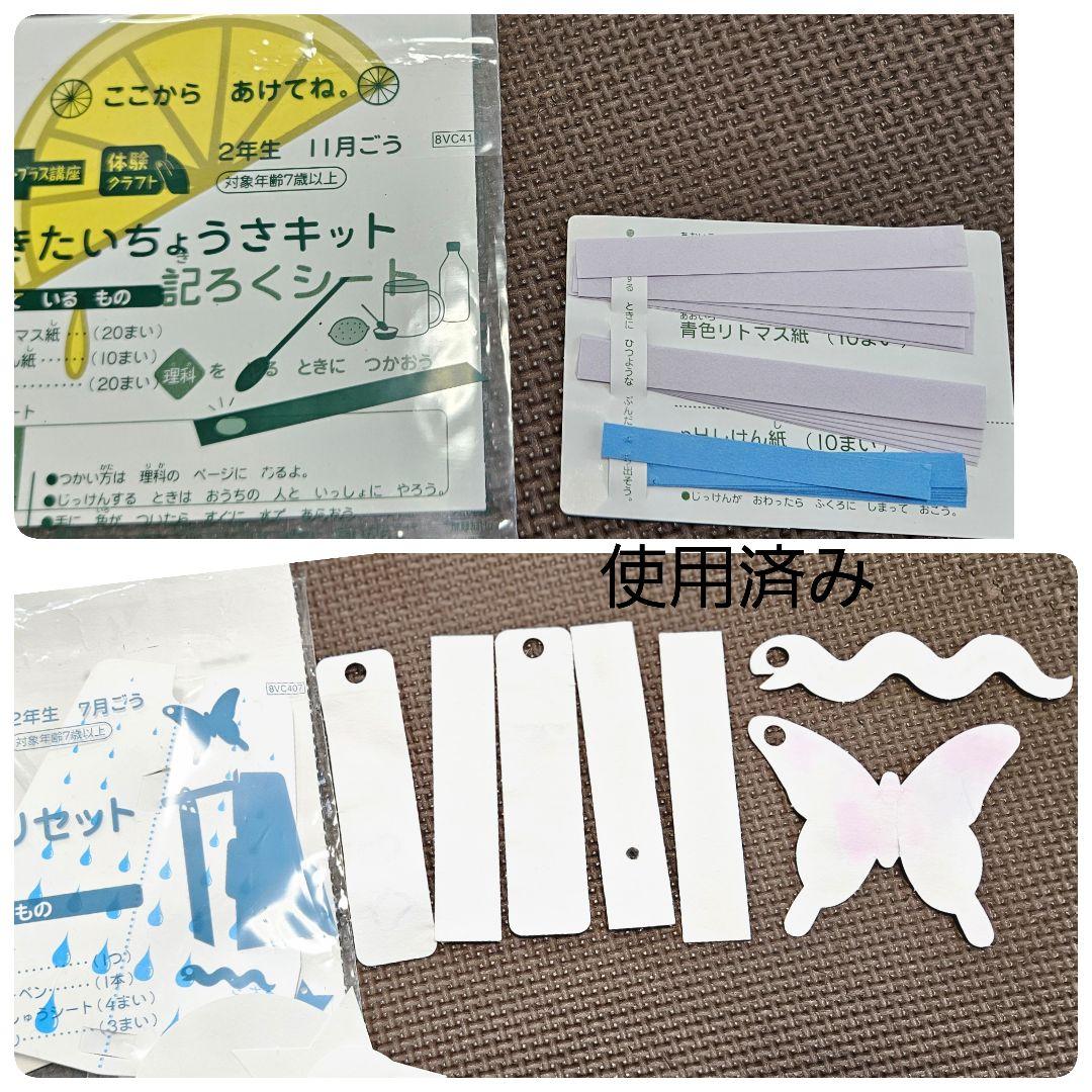 進研ゼミ 考える力プラス 小学講座 オプション 2年生 にゃっち