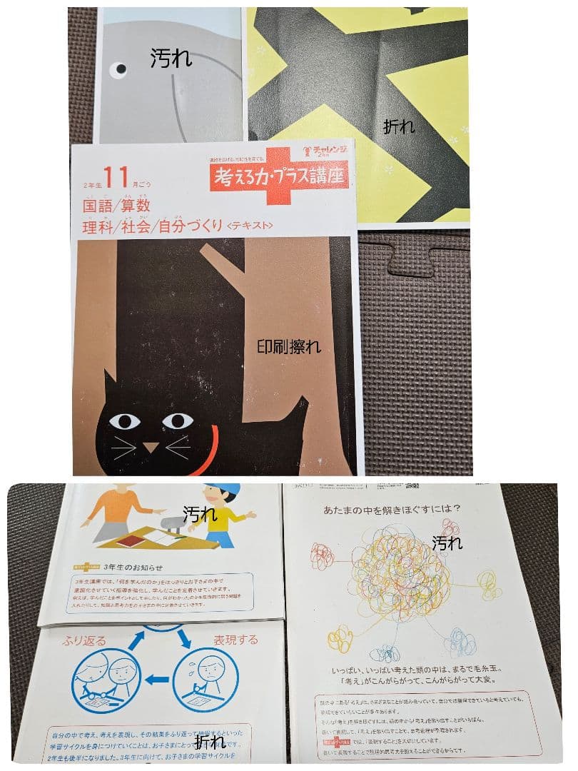 進研ゼミ 考える力プラス 小学講座 オプション 2年生 にゃっち