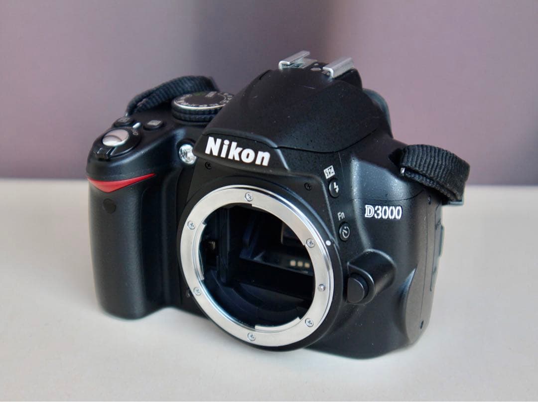 Nikon D3000 動作品　充電器付
