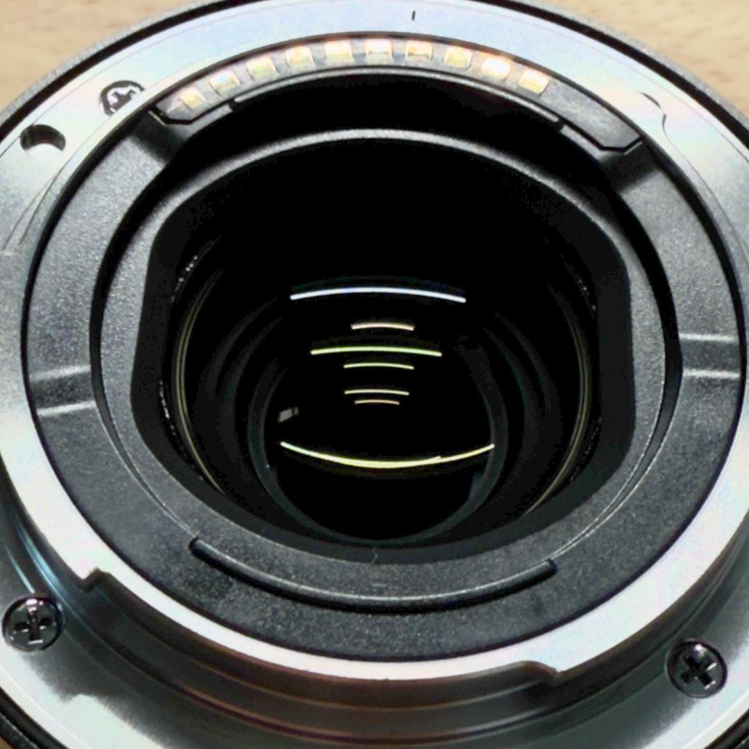 FE 40mm F2.5 G SEL40F25G 純正プロテクター付き