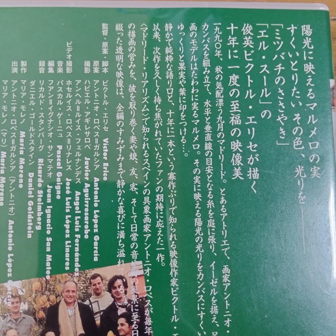マルメロの陽光　DVDビクトル・エリセ監督　廃盤再販なし　洋画