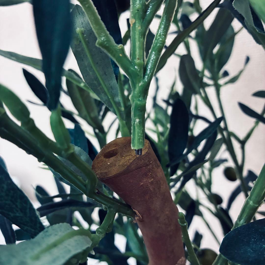フェイクグリーン　オリーブ　人工観葉植物　光の楽園