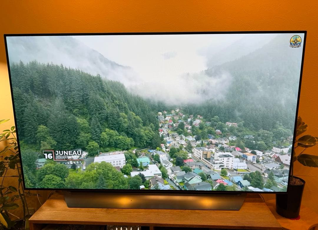 リュウ　美品 LG エルジー テレビ 有機ELテレビ