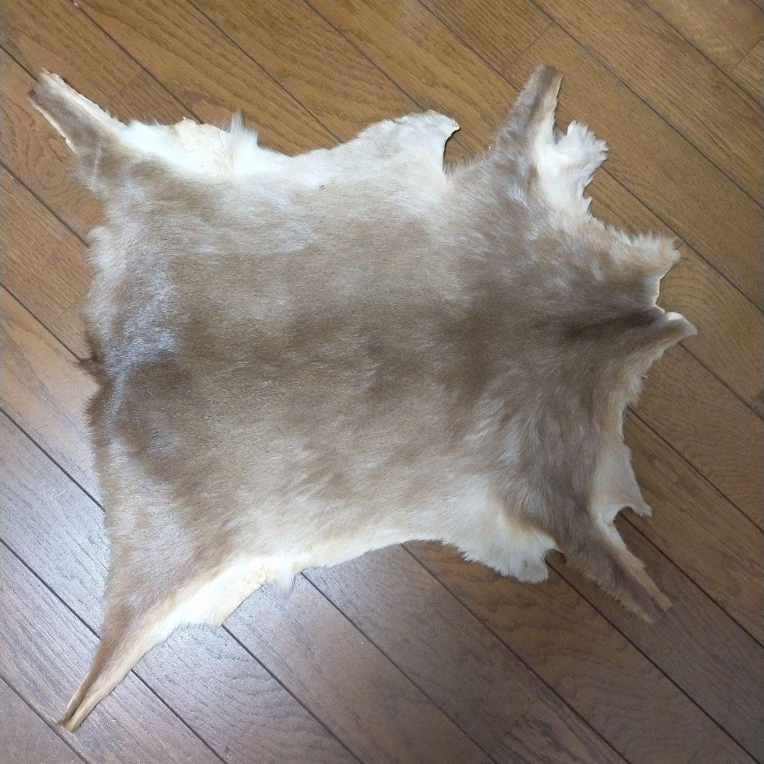 五月人形 鎧兜/節句人形 ①