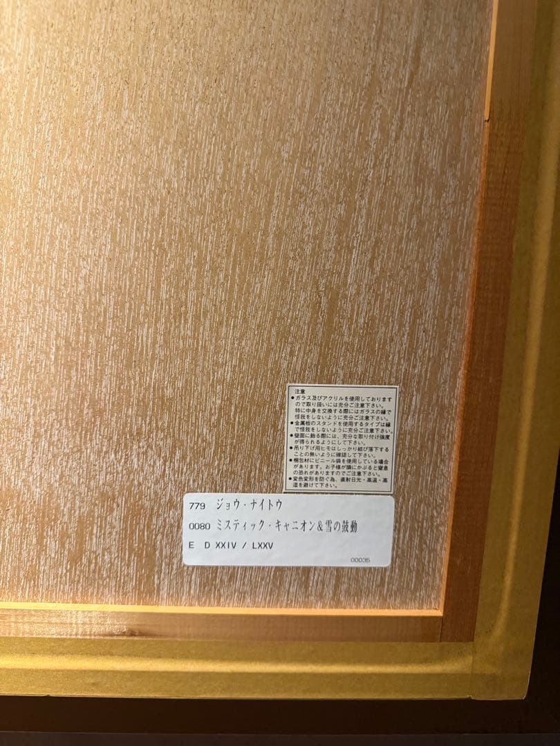 ジョウ・ナイトウ【ミスティック・キャニオン&雪の鼓動】　 シルクスクリーン