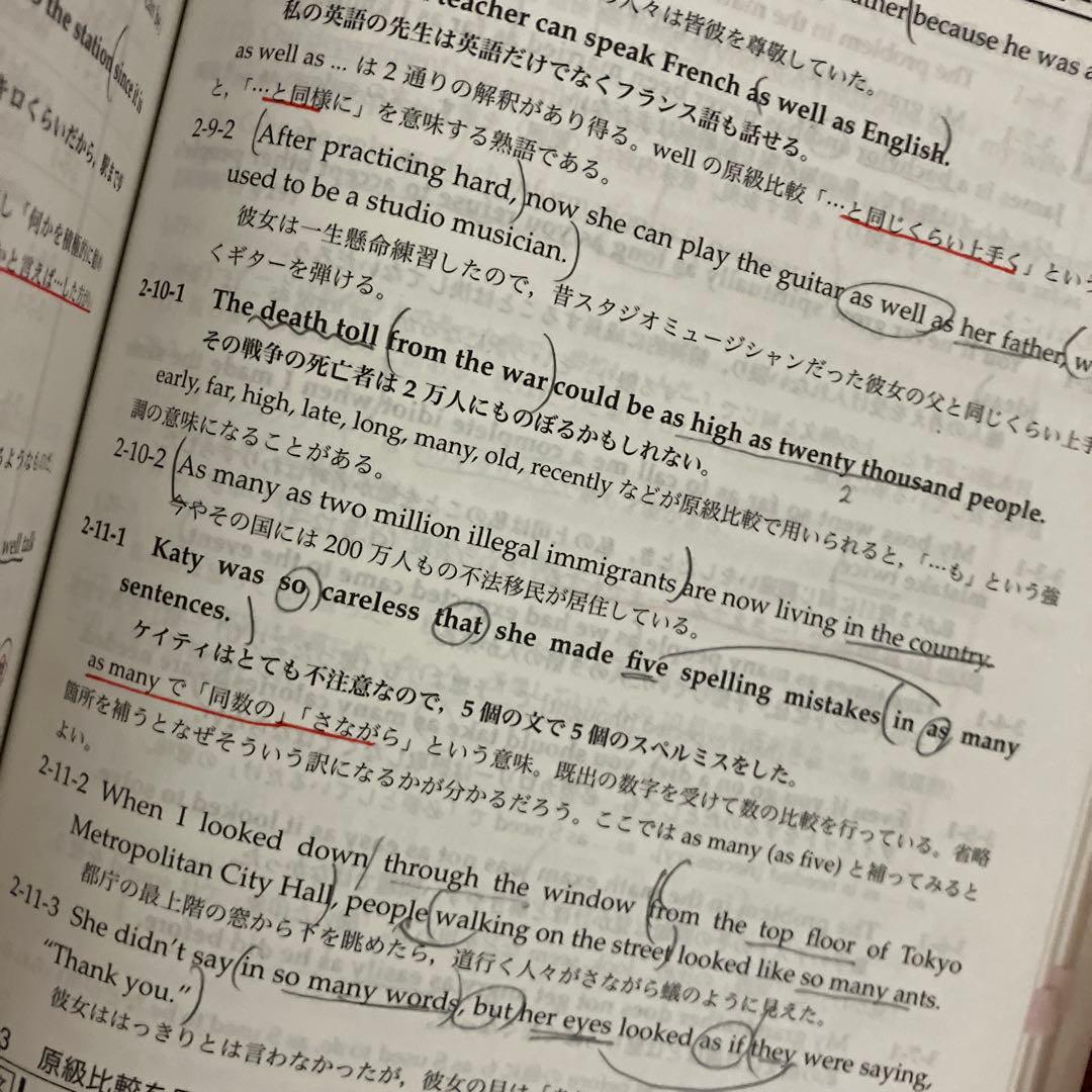 鉄緑会高二英語英語実践講座英文法.確認シリーズセット