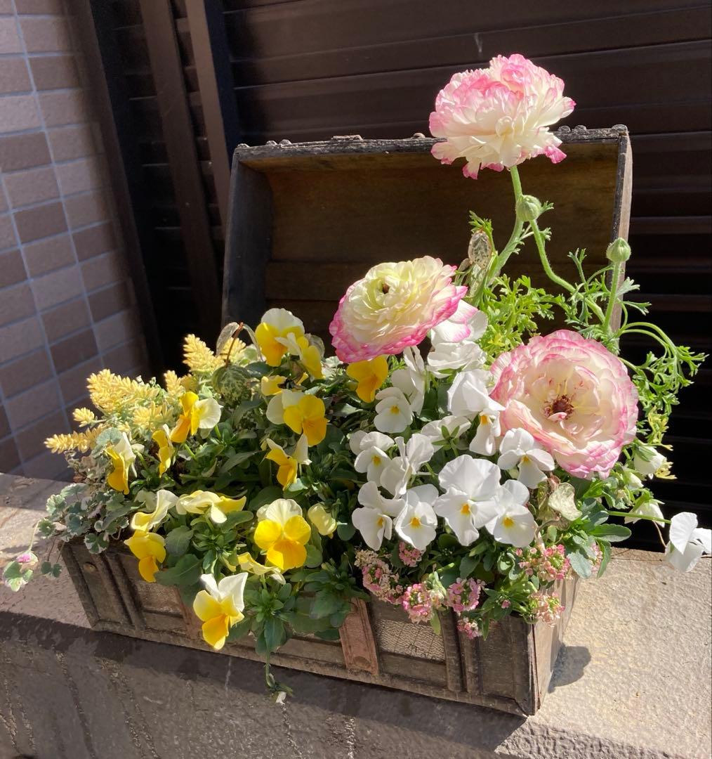 お花　寄せ植え　宝箱