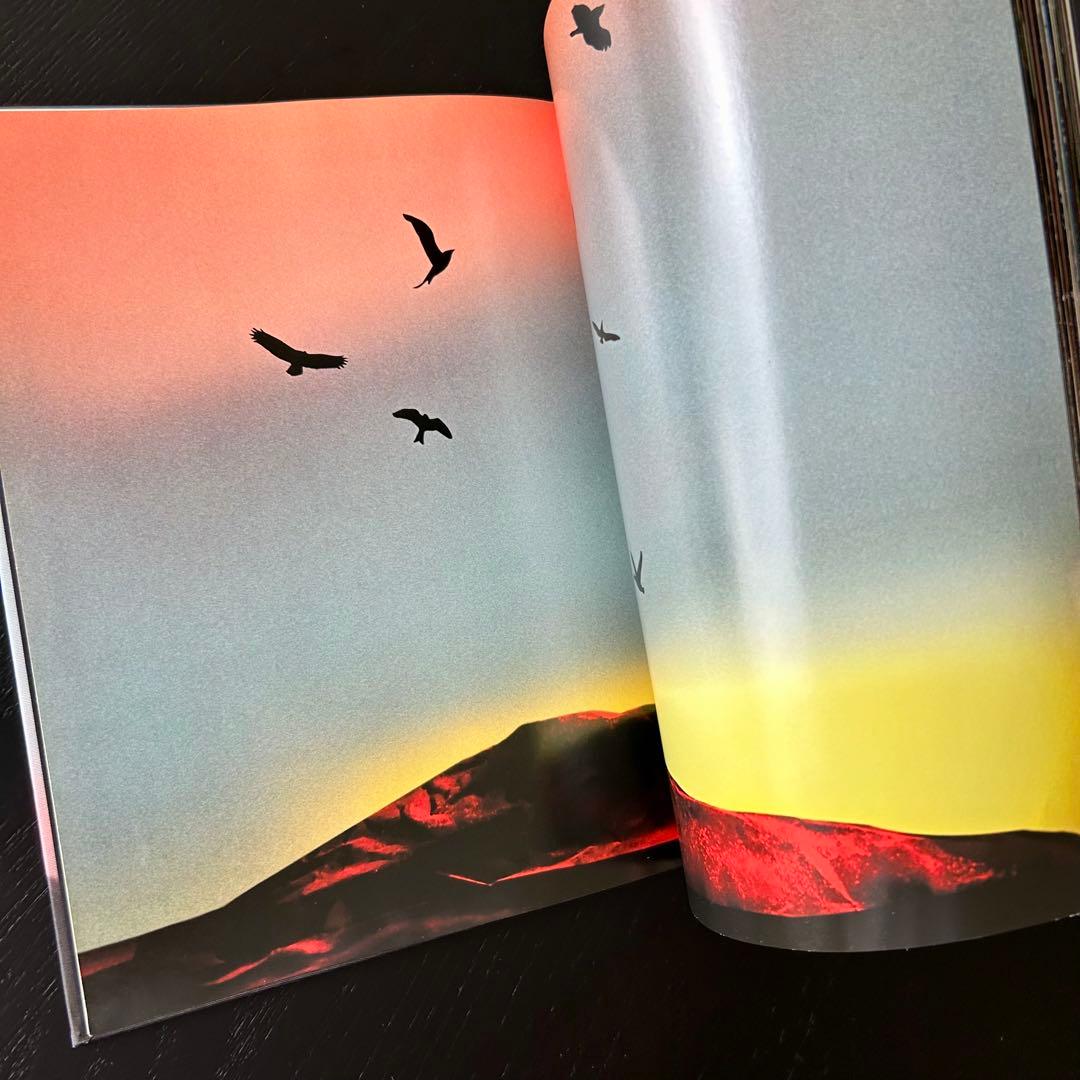 【洋書】LUIS SANCHIS