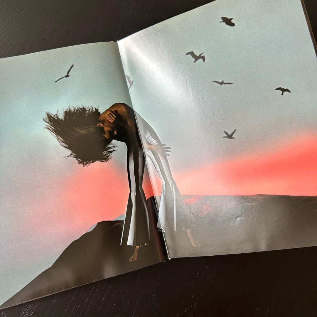 【洋書】LUIS SANCHIS