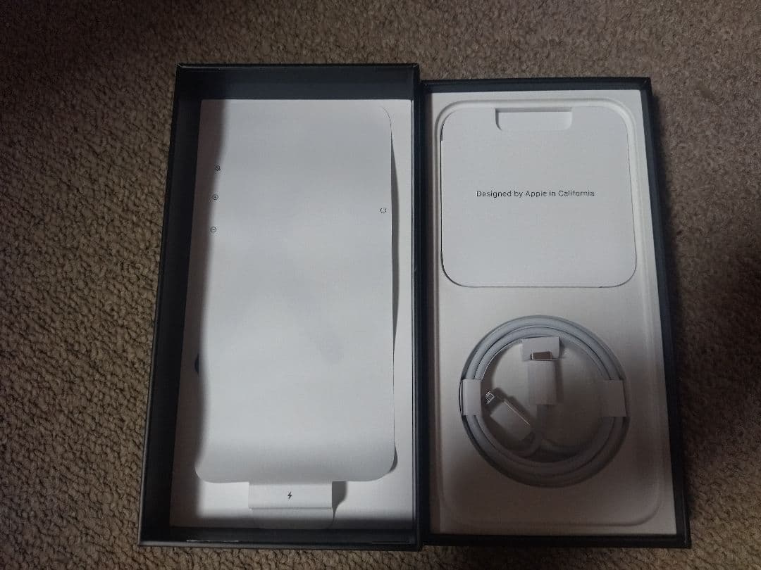 iPhone 13 Pro Max グラファイト 256GB +純正ケース