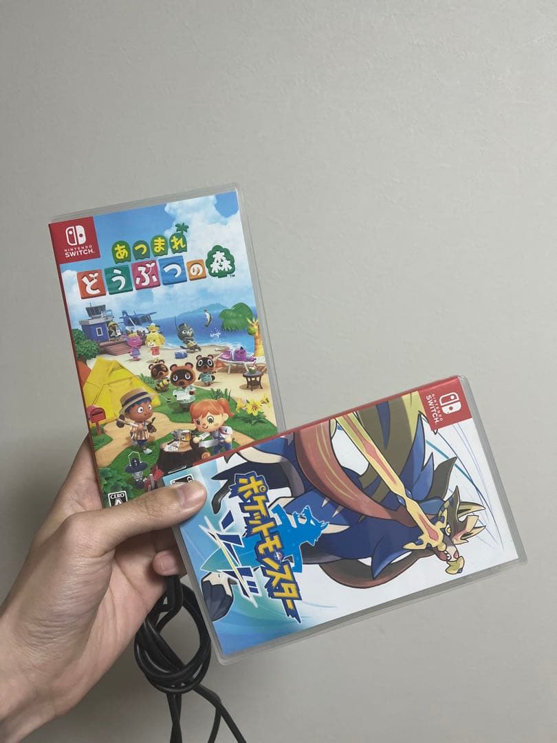 Nintendo Switch Lite グレー本体 箱付きゲームソフト2本付き