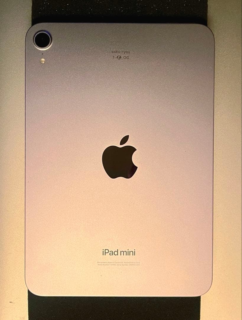 ＊刻印有り＊第7_iPad mini A17pro(care2027.1.9)