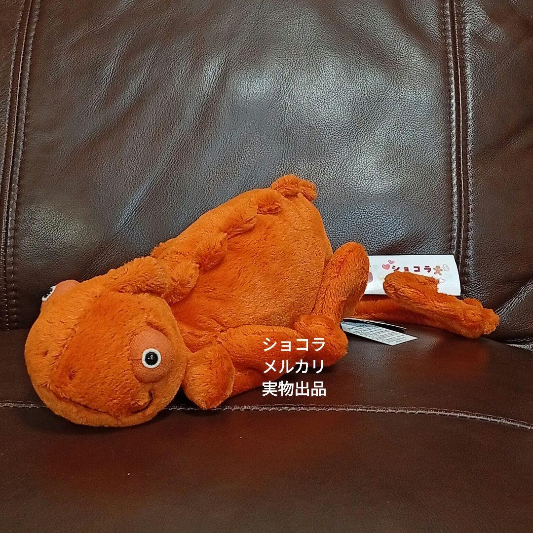  Vividie Chameleon オレンジ　カメレオン　生物