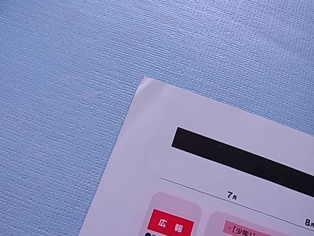 非売品　剣神 ドラゴンクエスト 甦りし伝説の剣　カタログ　販促チラシ　2003年