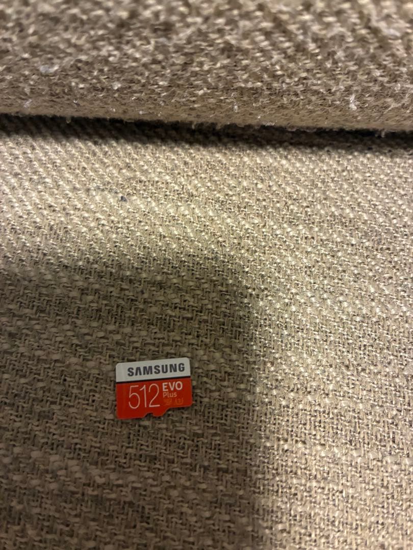 Nintendo Switch Lite 青色 充電器付き　Blue