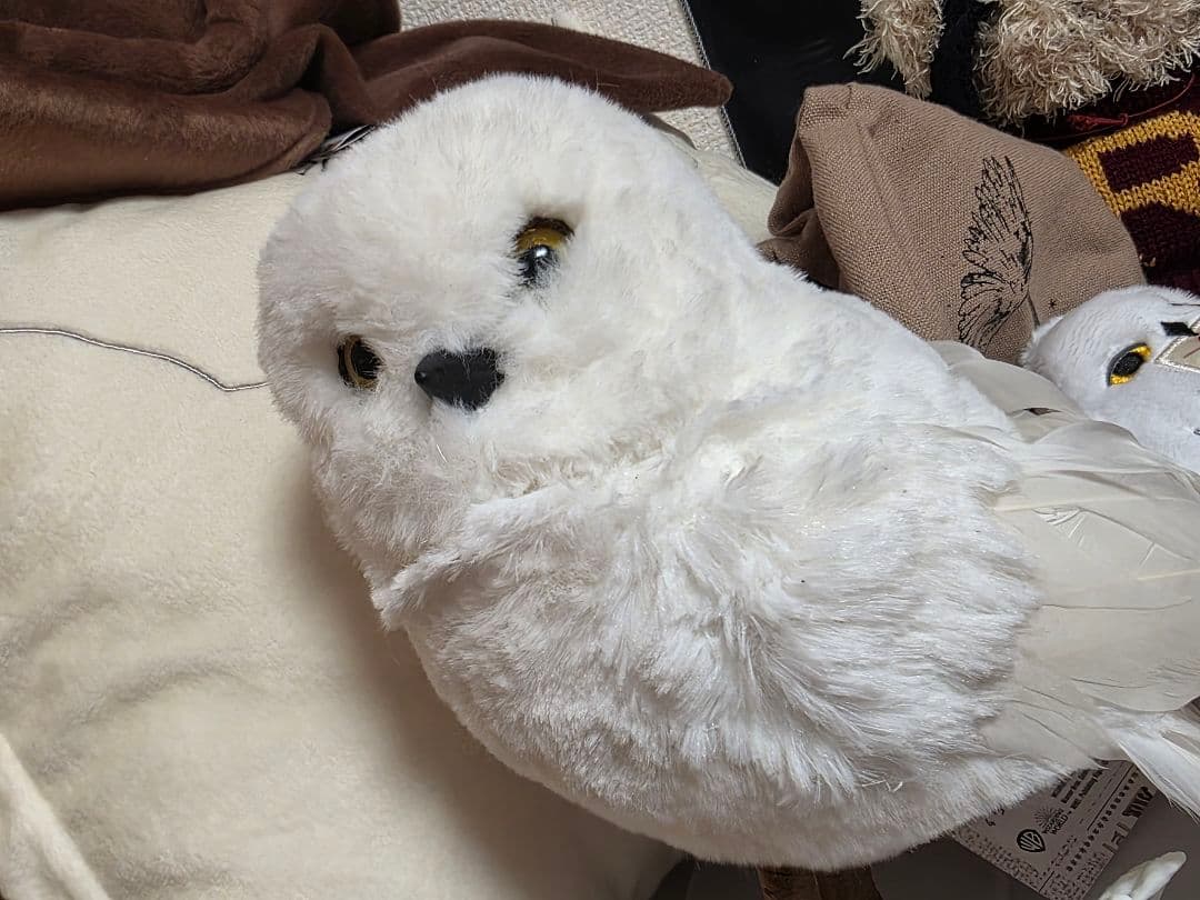 ハリー・ポッター　タリーズ