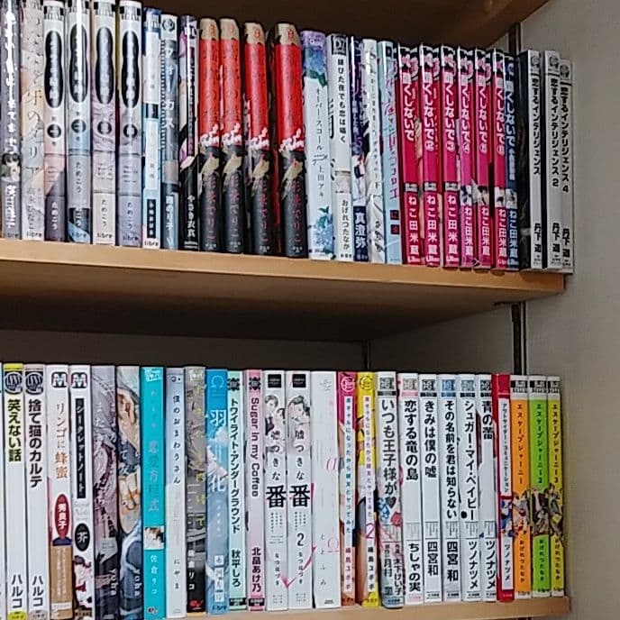まとめ売り BL漫画 4冊からバラ売り可