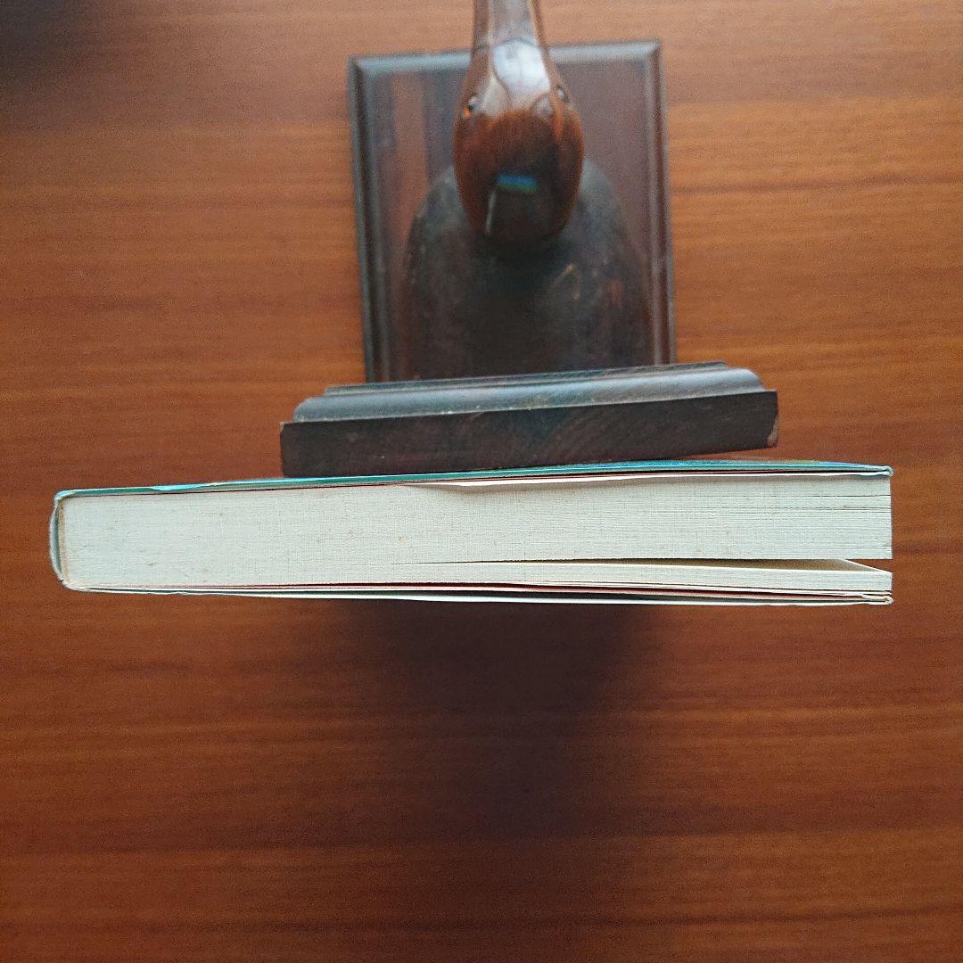 諸橋の数学1 代数・幾何 基礎解析 微分積分講義 #数学 #河合塾 #東大#京大