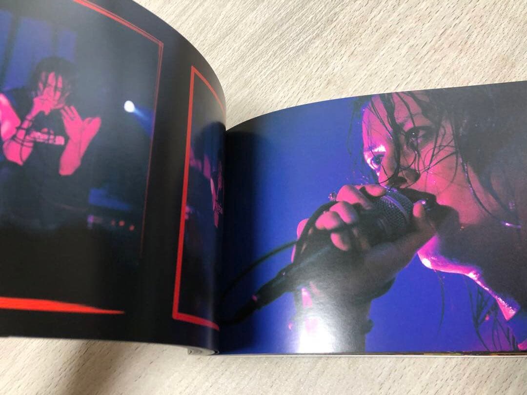 貴重SCHAFT & SCHWEINSTEINまとめ売りVHS CDツアーパンフ