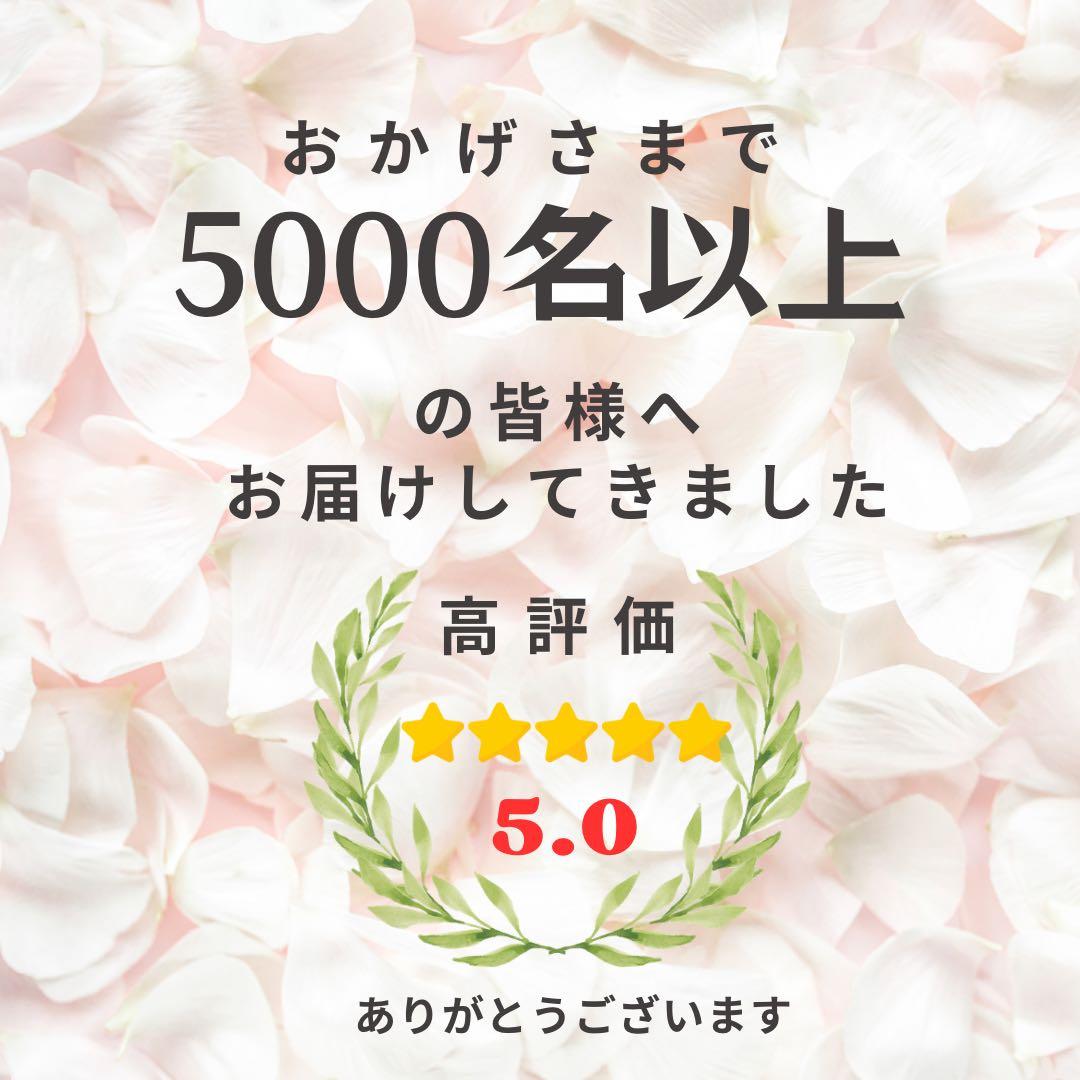 横長46cm｜バラとスイトピーとエキナセアの大型フラワーアレンジメント｜光触媒